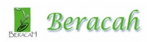 Beracah Human Resources Consultancy Services